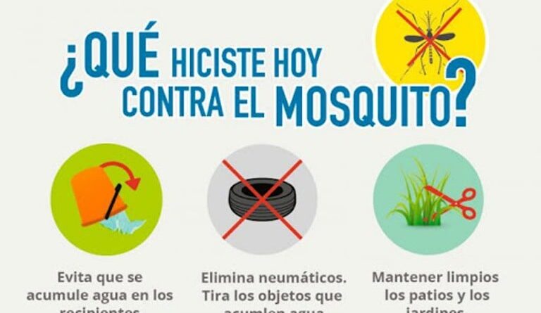 mosquito-cuba-min-768x445.jpg